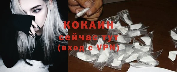 шишки Бронницы