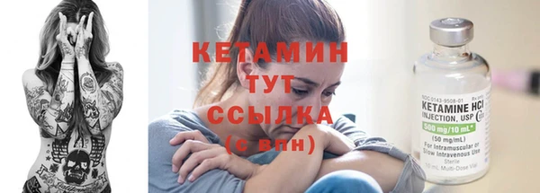 прущие грибы Бугульма