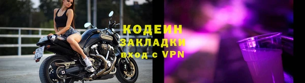 прущие грибы Бугульма