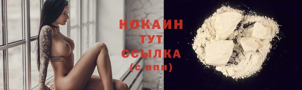 шишки Бронницы