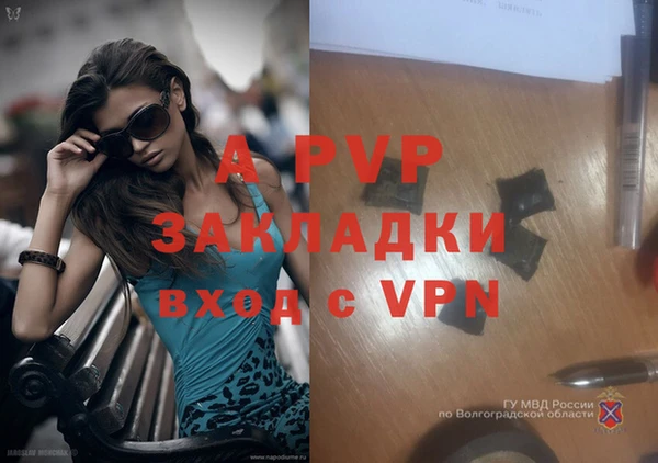 прущие грибы Бугульма